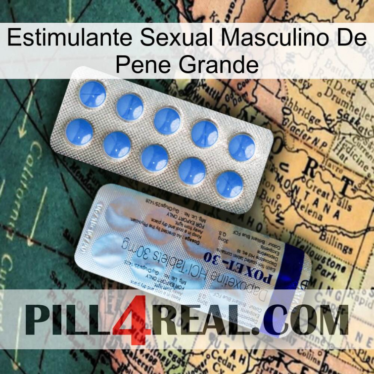 Big Penis Male Sexual Stimulant 39